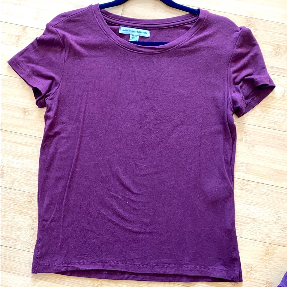 American Eagle Outfitters Maroon Cropped Tee
